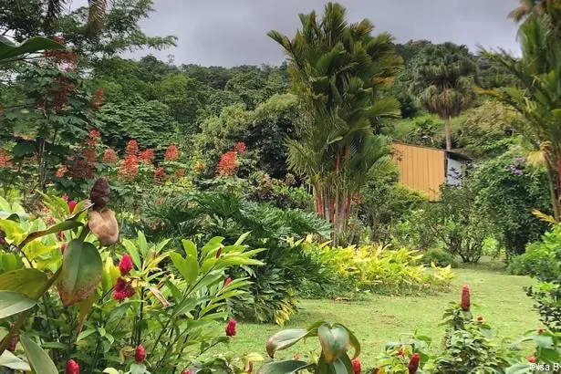 The Beauvallon Botanical Garden